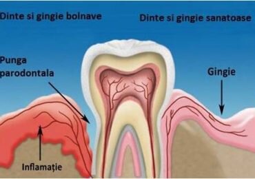 Symetrique Dent - Clinica de stomatologie